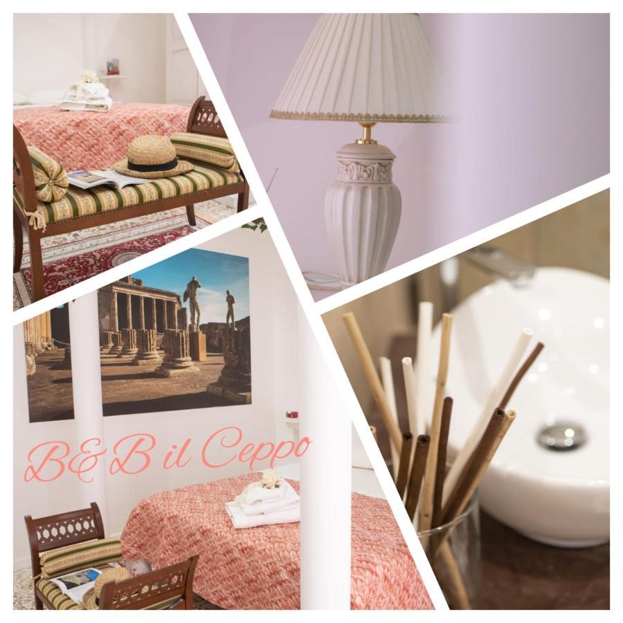 Il Ceppo Sui Sentieri Per Amalfi Bed & Breakfast Pimonte Bagian luar foto