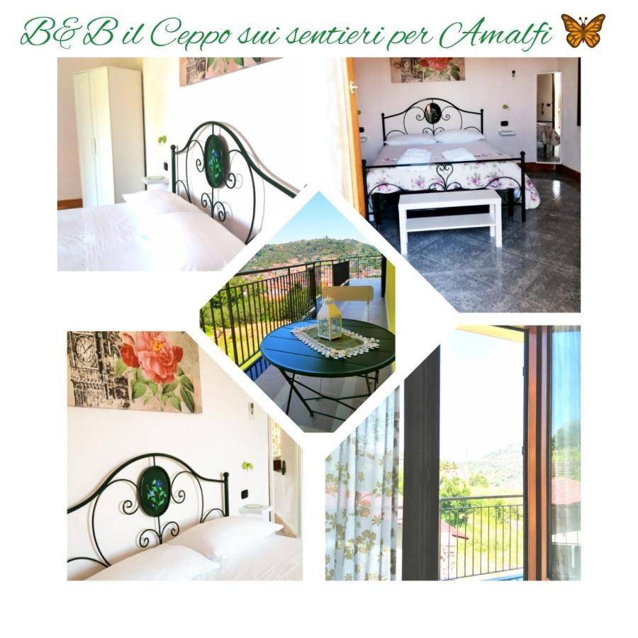 Il Ceppo Sui Sentieri Per Amalfi Bed & Breakfast Pimonte Bagian luar foto